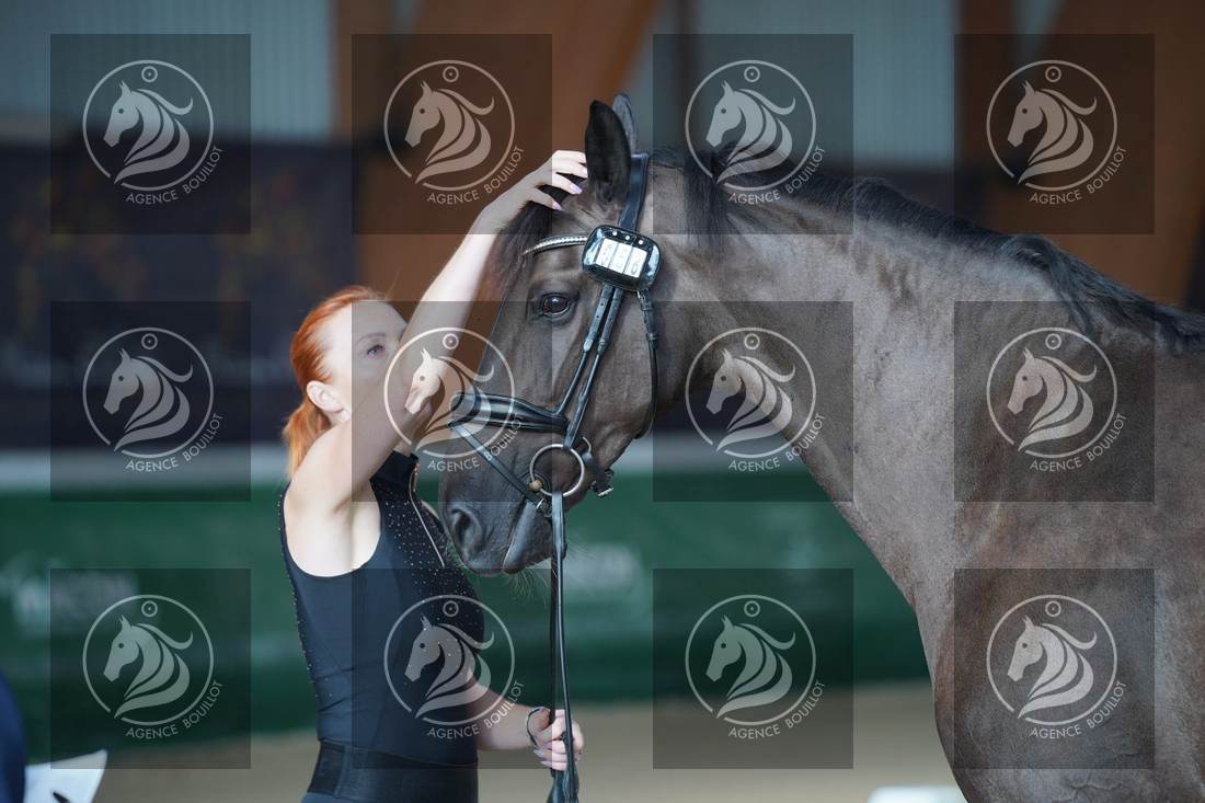 Aperçu Tatiana MAKAROVA · LA PAIX