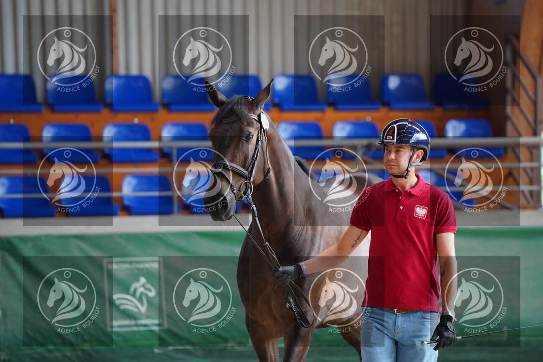 Aperçu Roy FIRST · INFINITY WIN T