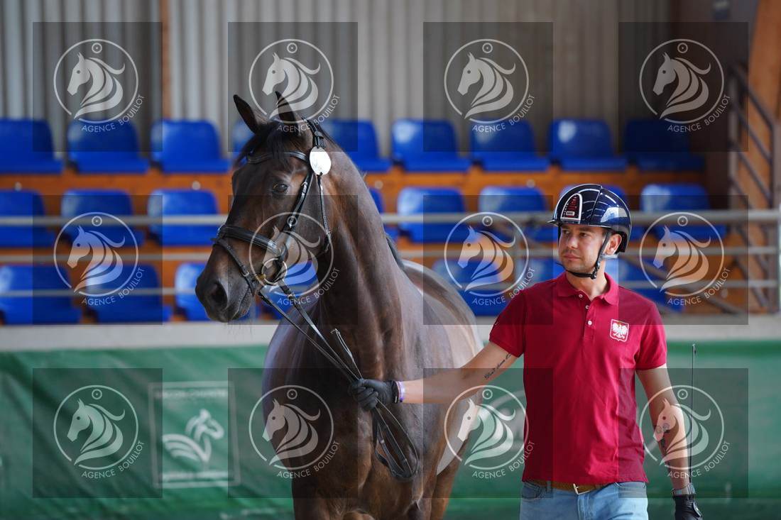 Aperçu Roy FIRST · INFINITY WIN T