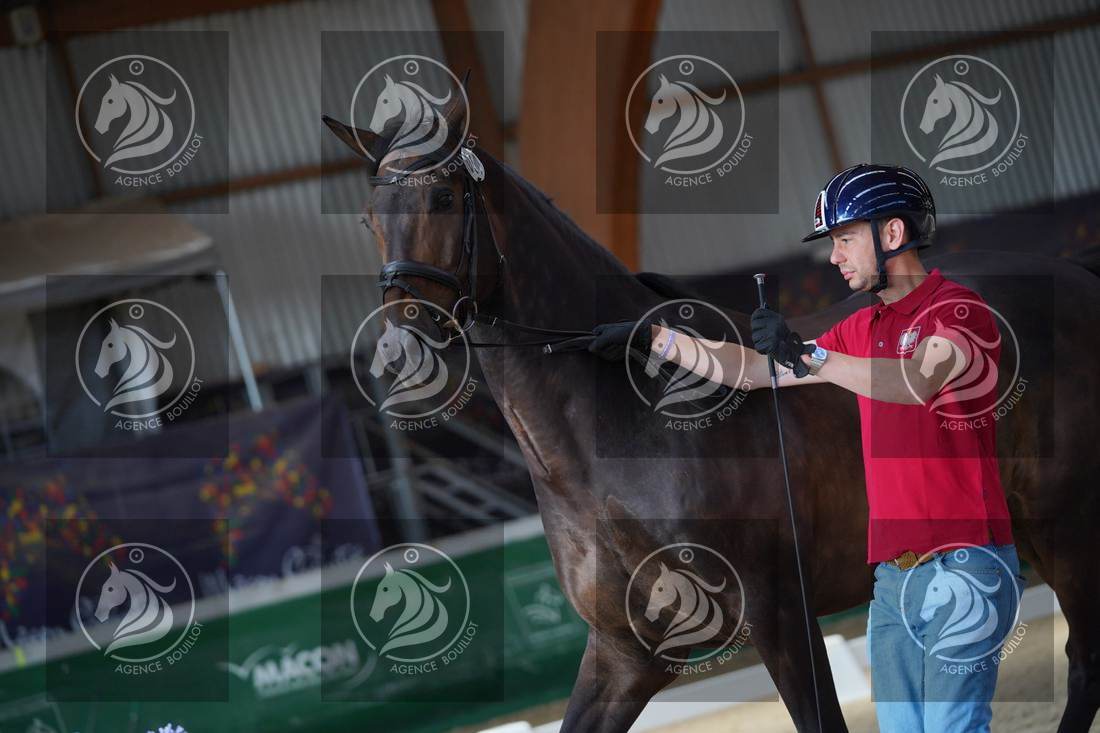 Aperçu Roy FIRST · INFINITY WIN T