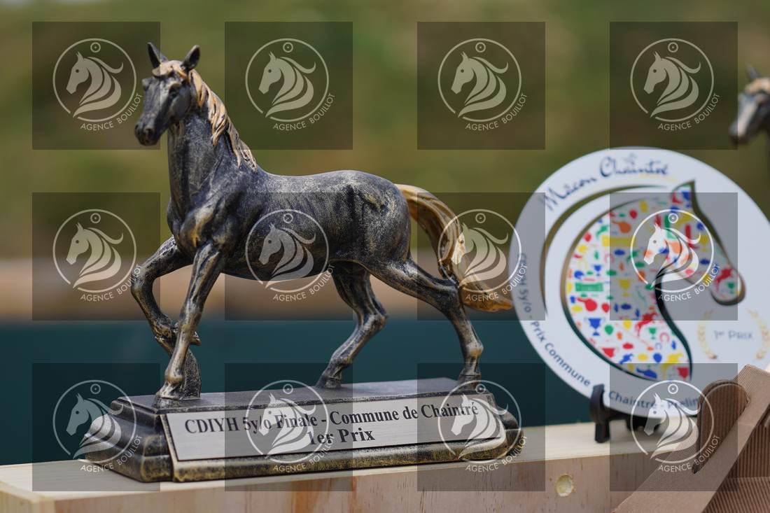Aperçu Remise des prix