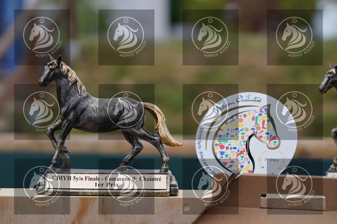 Aperçu Remise des prix