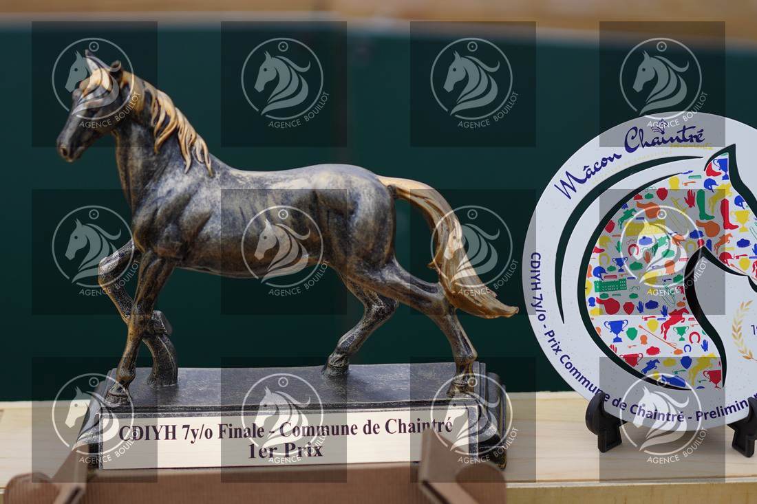 Aperçu Remise des prix