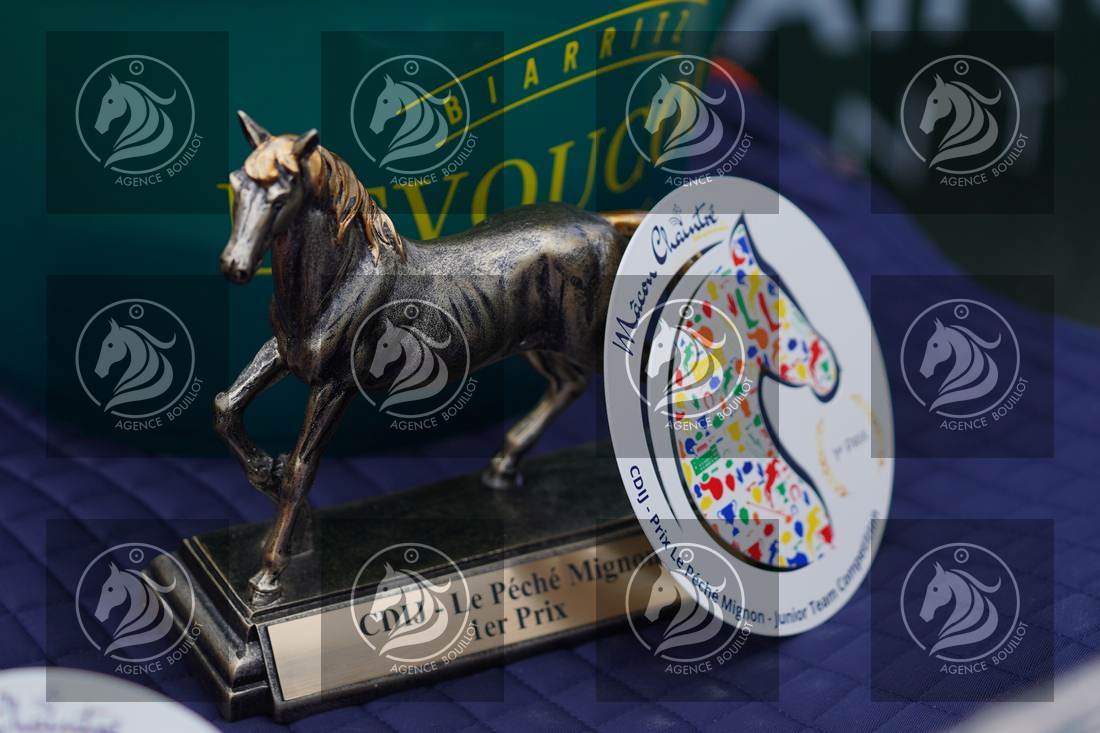 Aperçu Remise des prix