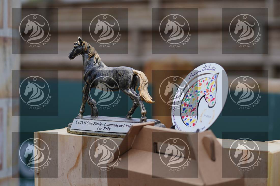 Aperçu Remise des prix