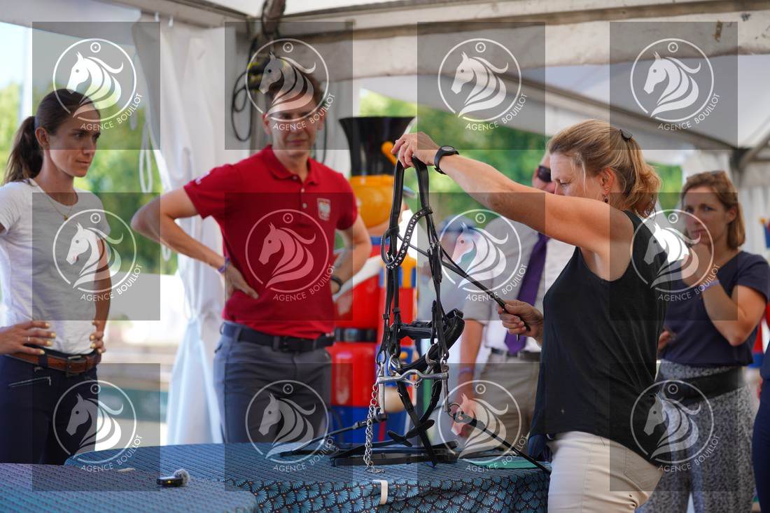 Aperçu BRIDLE CHALLENGE