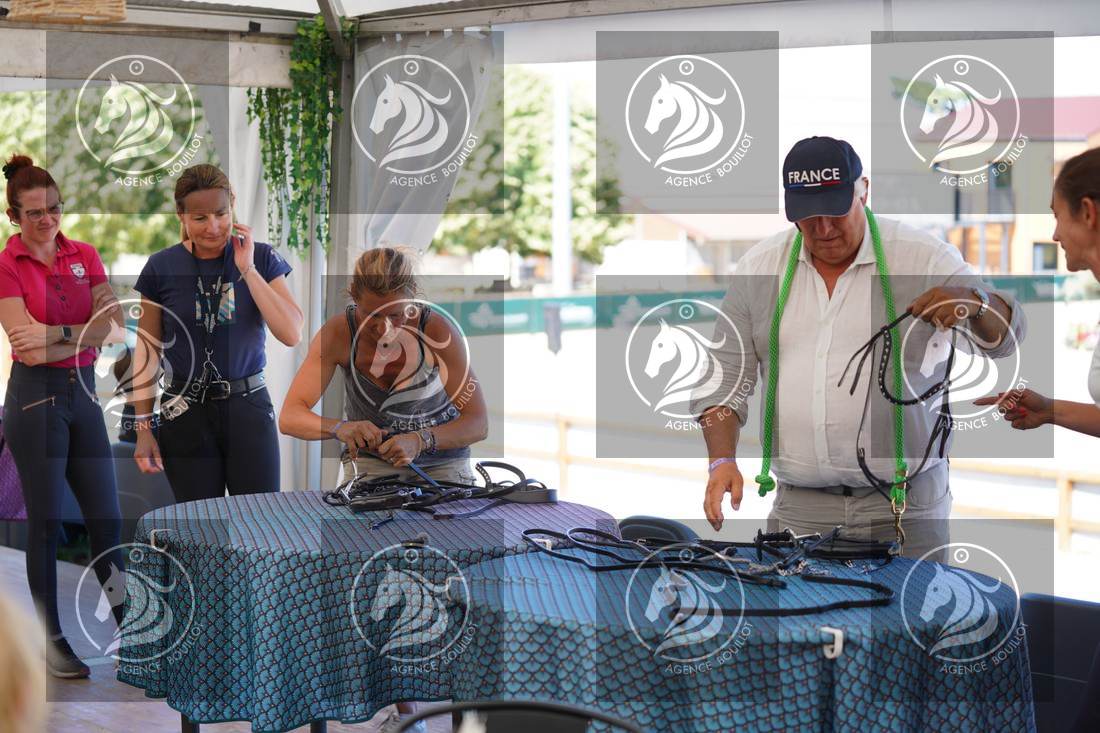 Aperçu BRIDLE CHALLENGE