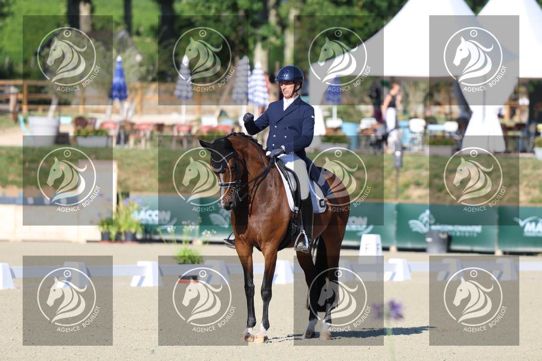 Aperçu Bertrand LIEGARD · GINGER