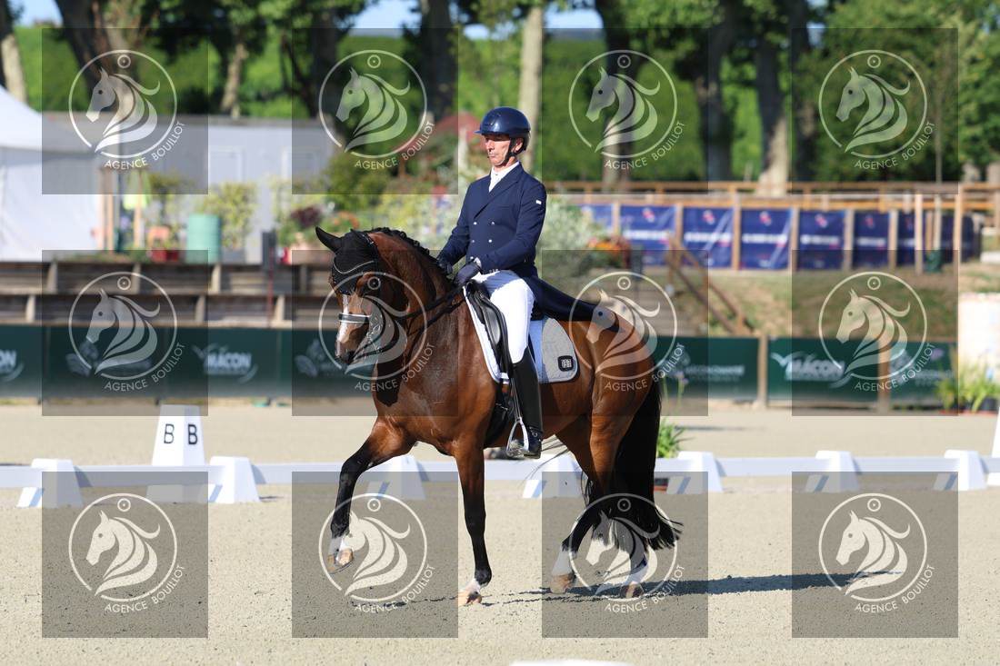 Aperçu Bertrand LIEGARD · GINGER
