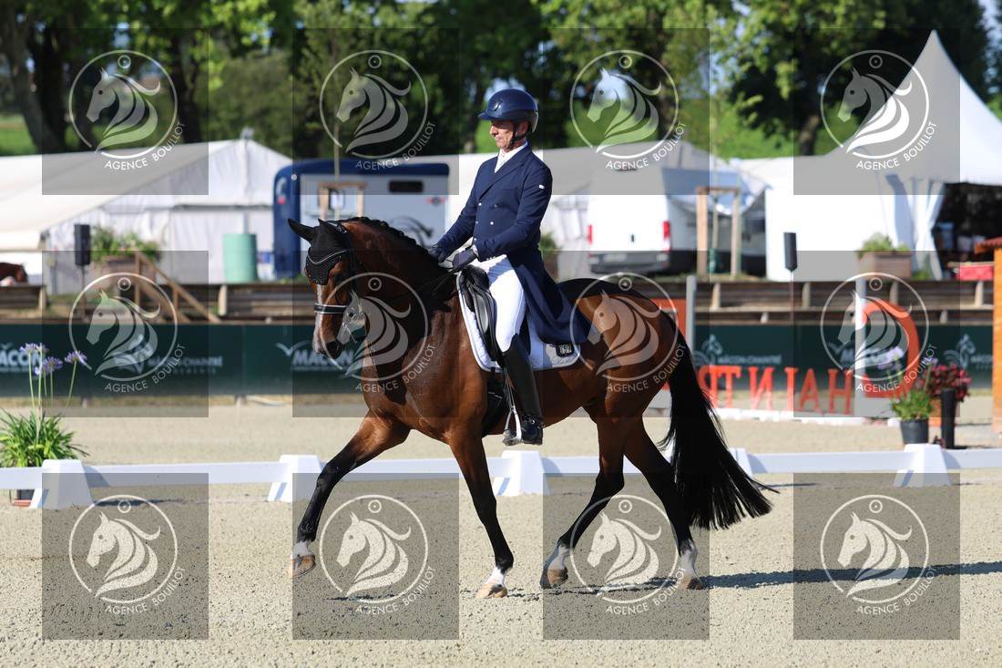 Aperçu Bertrand LIEGARD · GINGER