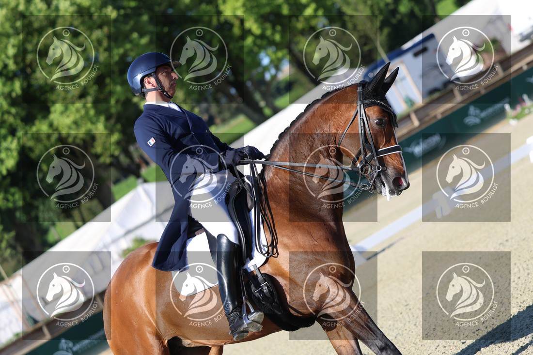 Aperçu Bertrand LIEGARD · GINGER