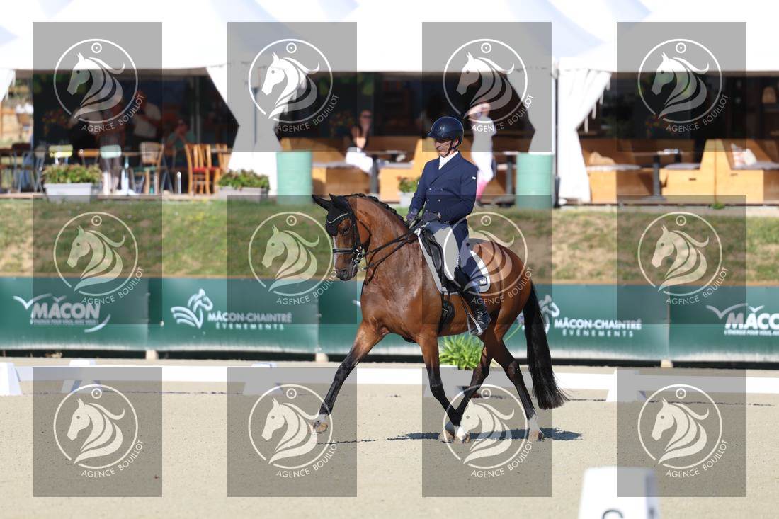 Aperçu Bertrand LIEGARD · GINGER