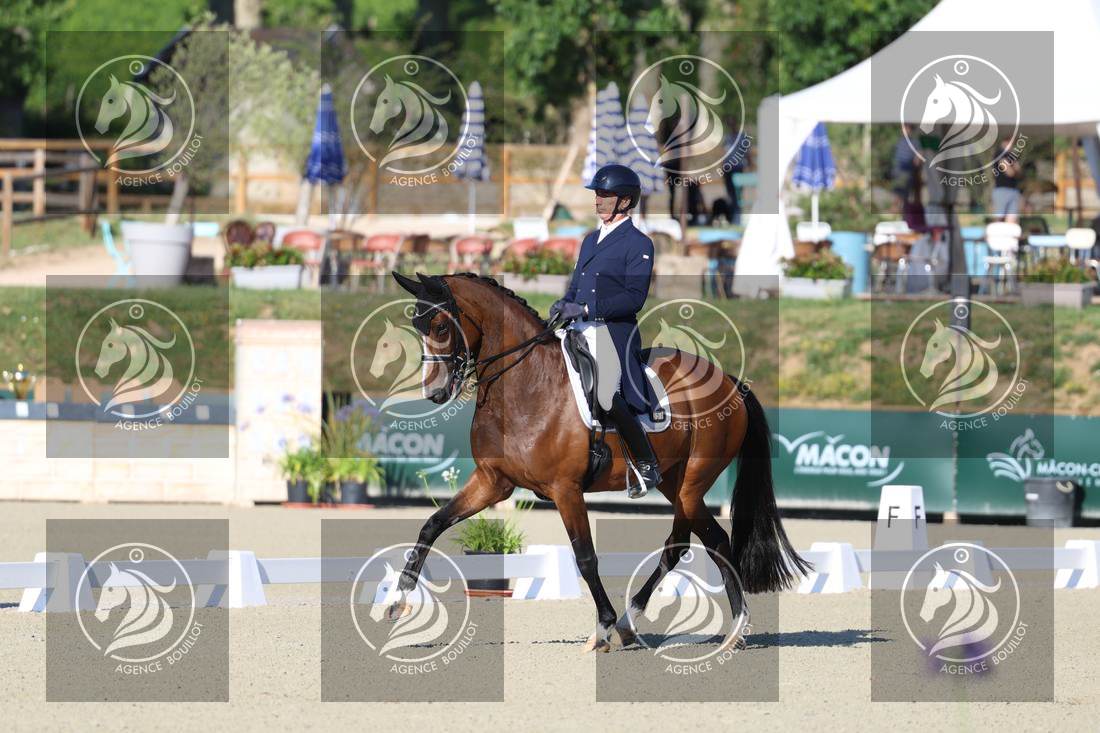 Aperçu Bertrand LIEGARD · GINGER