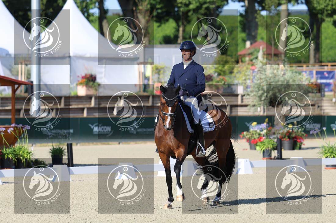 Aperçu Bertrand LIEGARD · GINGER