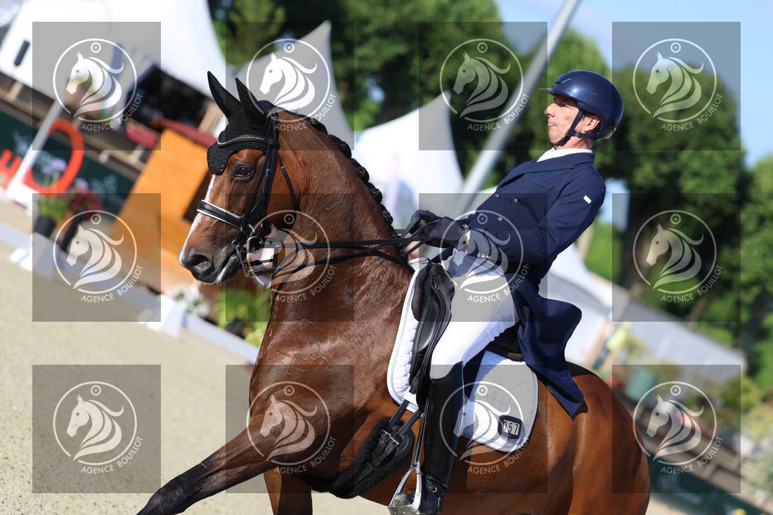 Aperçu Bertrand LIEGARD · GINGER