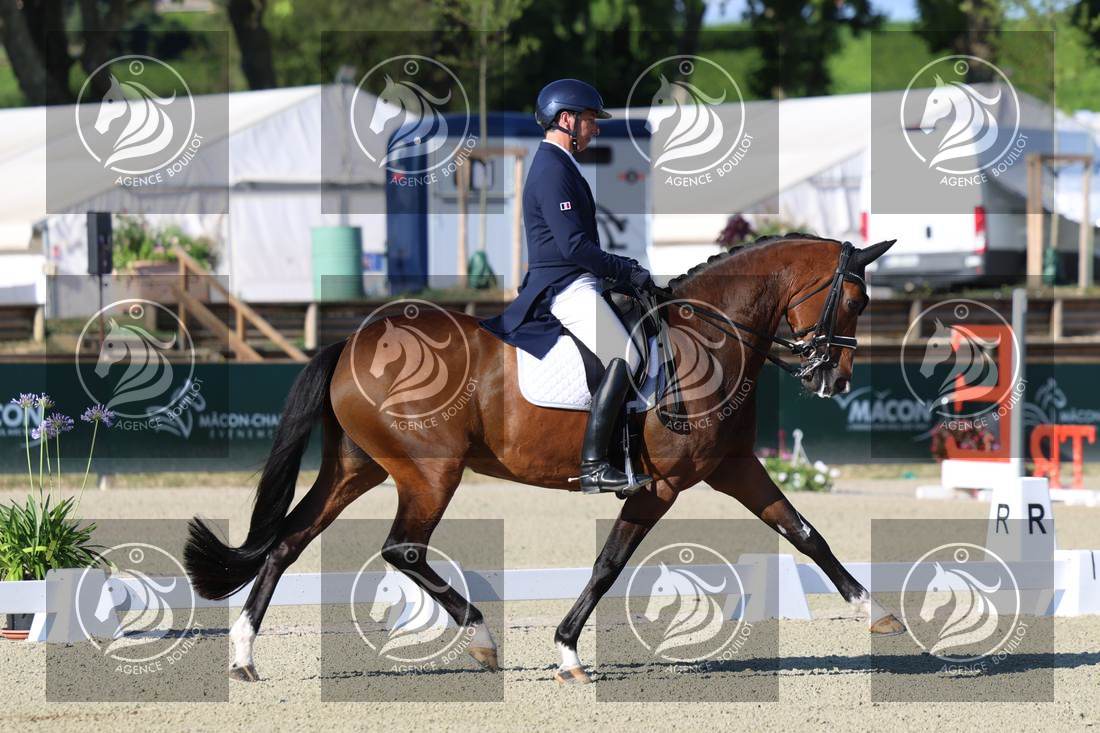 Aperçu Bertrand LIEGARD · GINGER