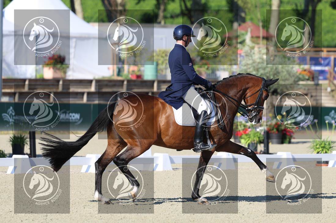 Aperçu Bertrand LIEGARD · GINGER
