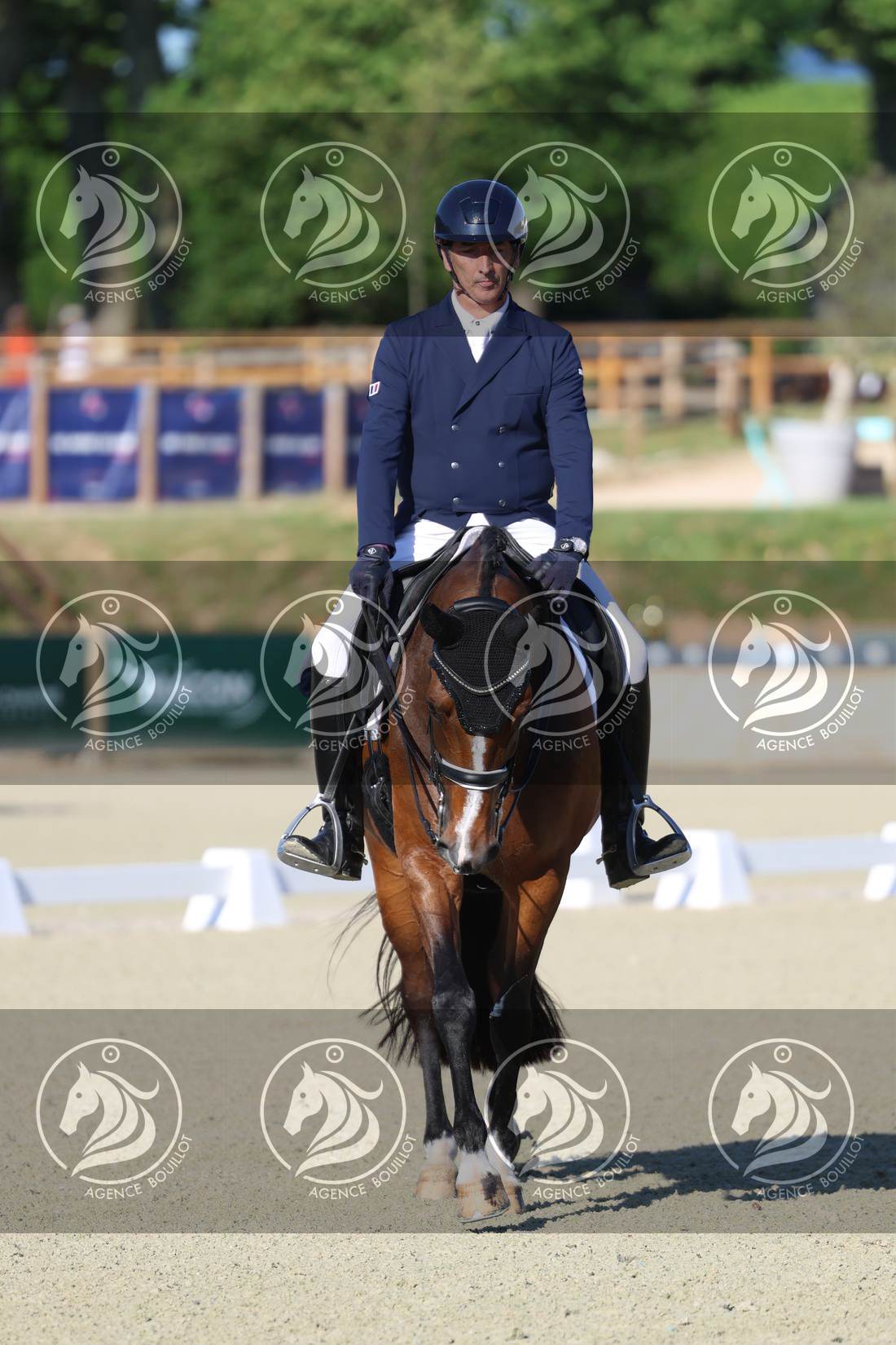 Aperçu Bertrand LIEGARD · GINGER