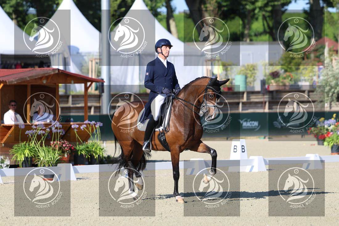 Aperçu Bertrand LIEGARD · GINGER