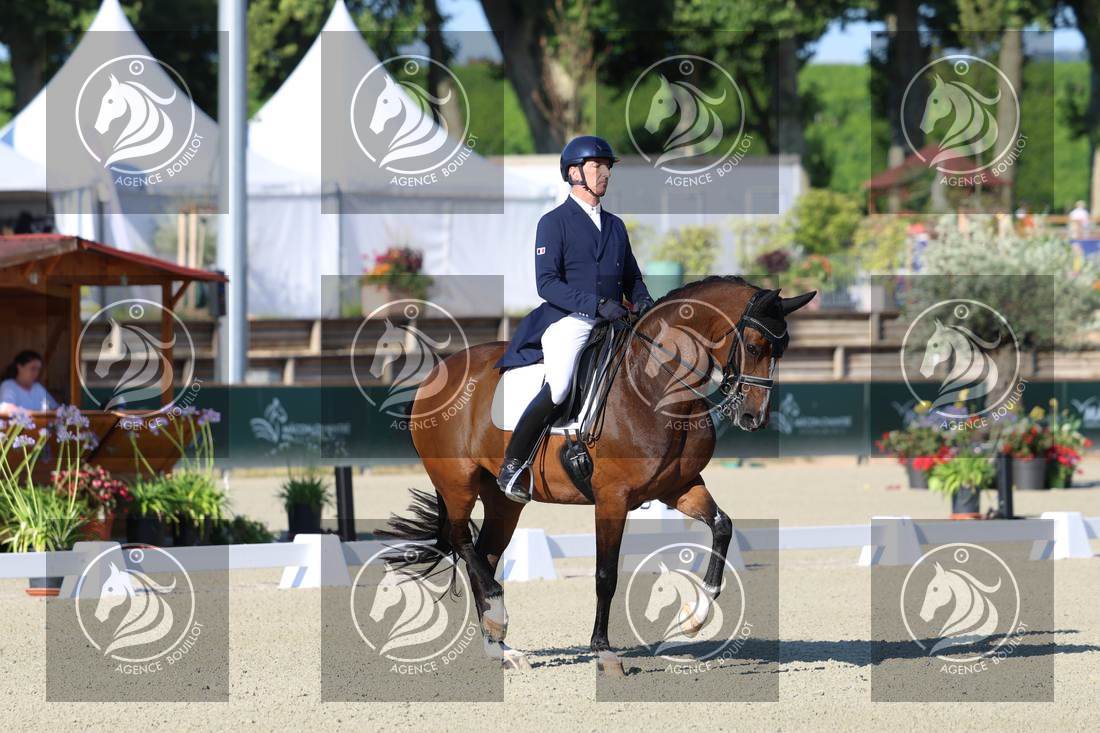 Aperçu Bertrand LIEGARD · GINGER