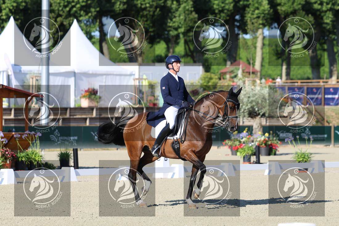 Aperçu Bertrand LIEGARD · GINGER
