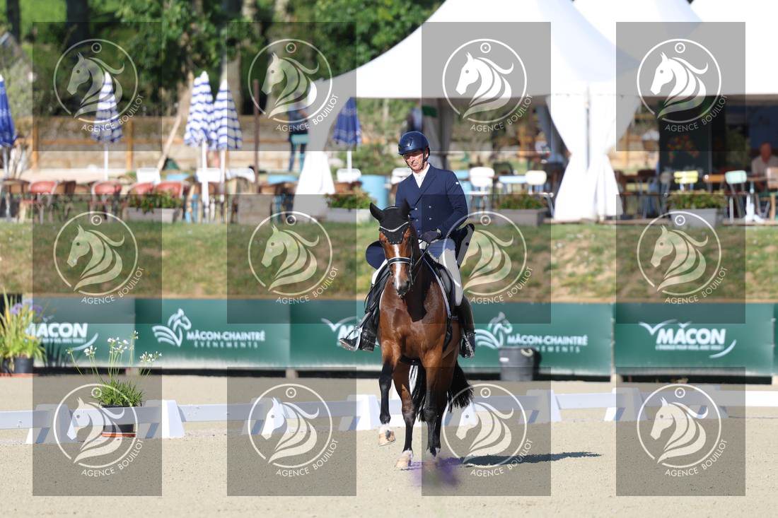 Aperçu Bertrand LIEGARD · GINGER