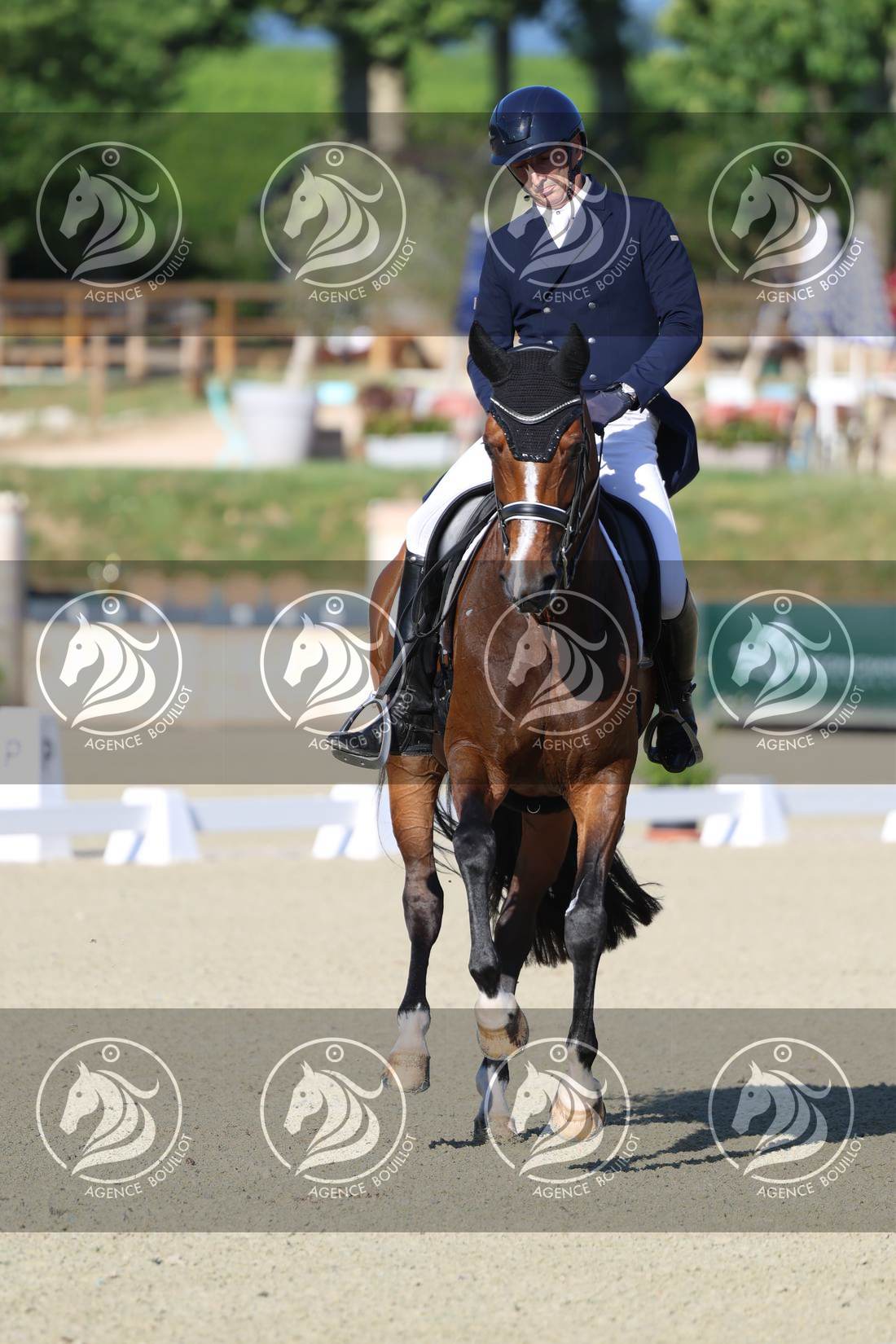 Aperçu Bertrand LIEGARD · GINGER
