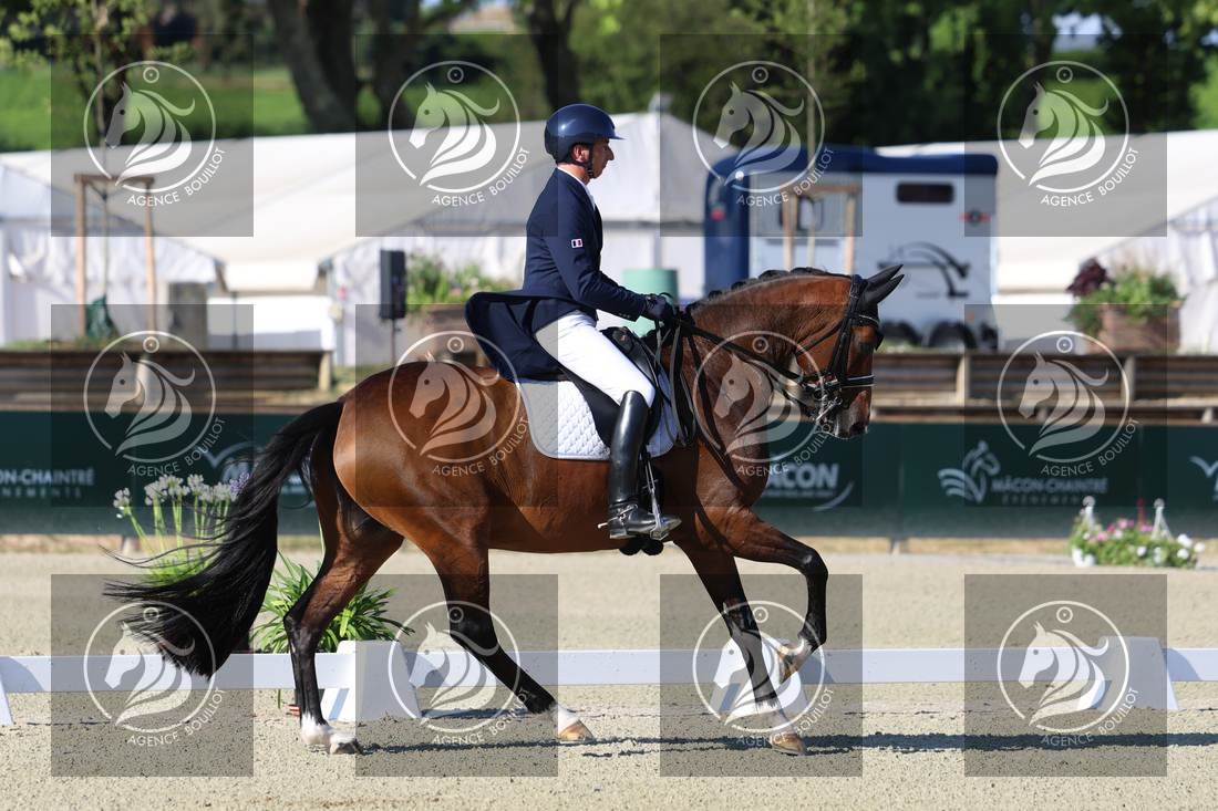 Aperçu Bertrand LIEGARD · GINGER