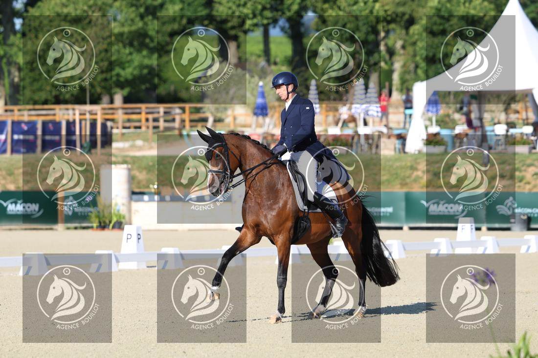 Aperçu Bertrand LIEGARD · GINGER