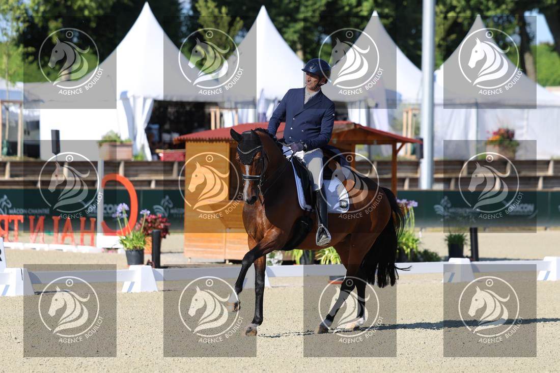 Aperçu Bertrand LIEGARD · GINGER