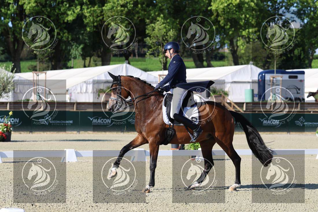 Aperçu Bertrand LIEGARD · GINGER