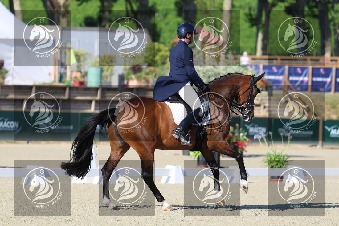 Aperçu Bertrand LIEGARD · GINGER