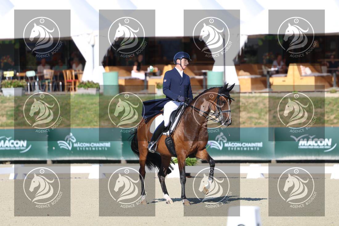 Aperçu Bertrand LIEGARD · GINGER