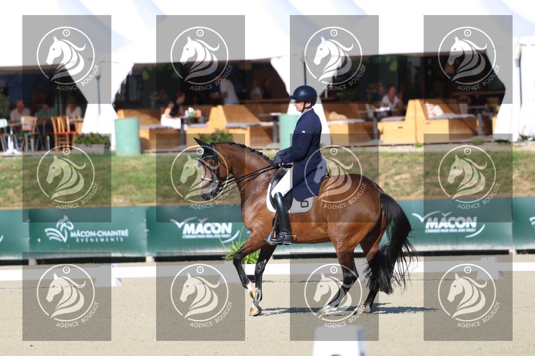 Aperçu Bertrand LIEGARD · GINGER