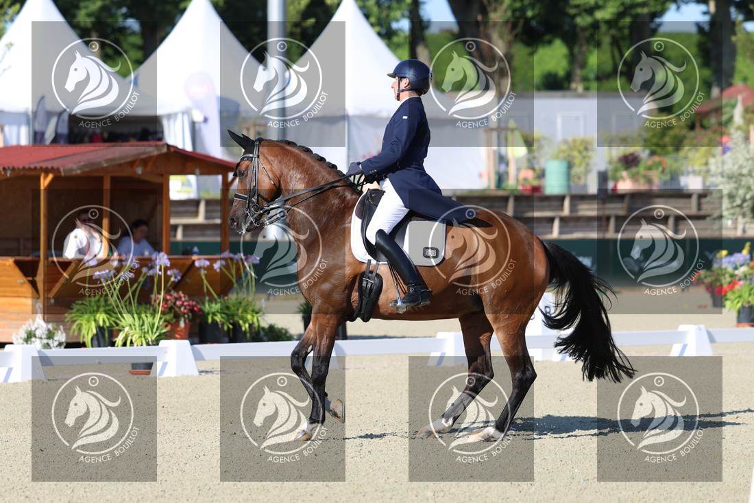 Aperçu Bertrand LIEGARD · GINGER