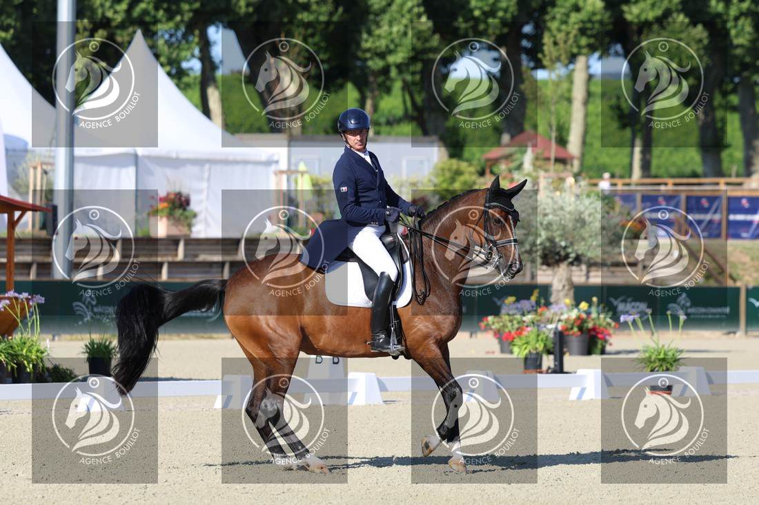 Aperçu Bertrand LIEGARD · GINGER