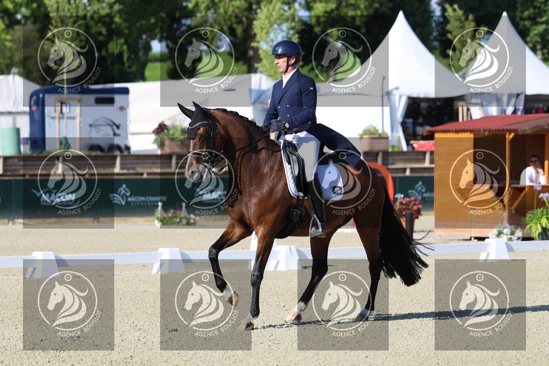 Aperçu Bertrand LIEGARD · GINGER