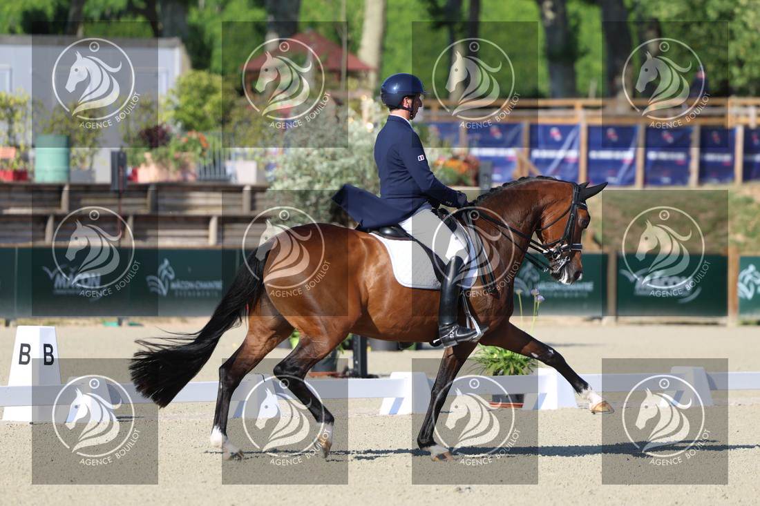 Aperçu Bertrand LIEGARD · GINGER