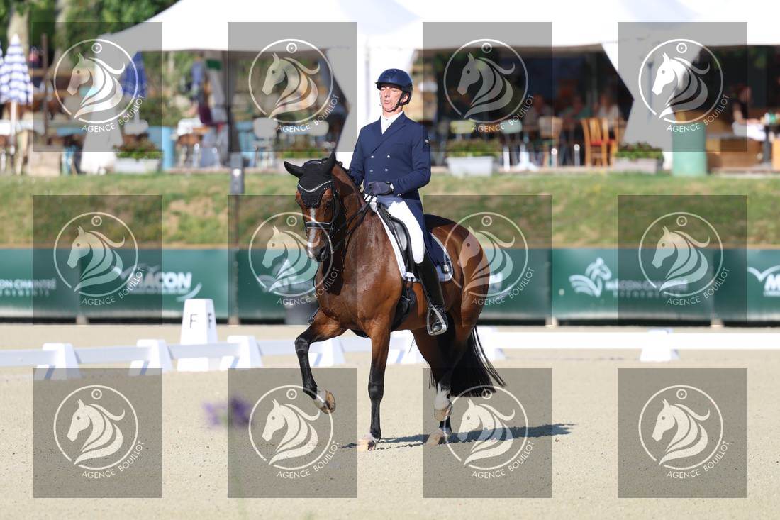 Aperçu Bertrand LIEGARD · GINGER