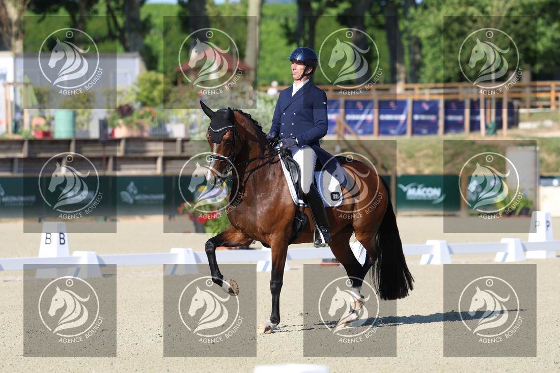Aperçu Bertrand LIEGARD · GINGER