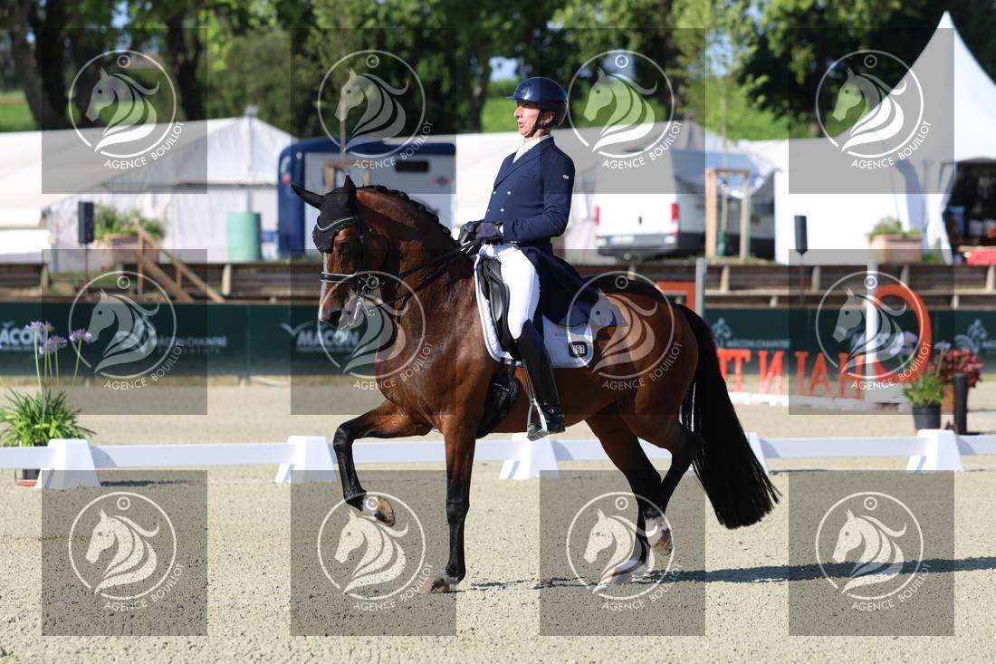 Aperçu Bertrand LIEGARD · GINGER