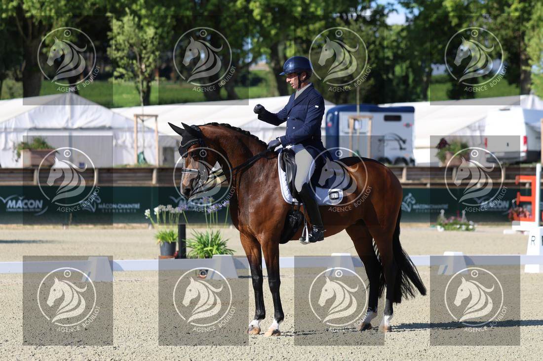 Aperçu Bertrand LIEGARD · GINGER