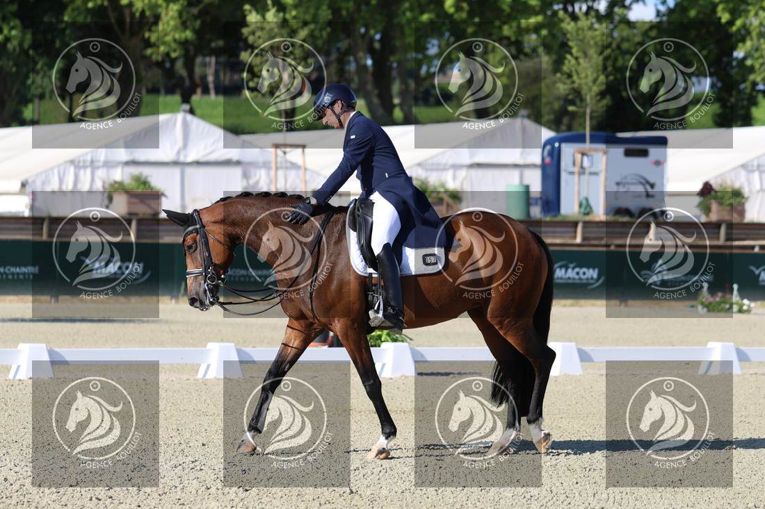 Aperçu Bertrand LIEGARD · GINGER