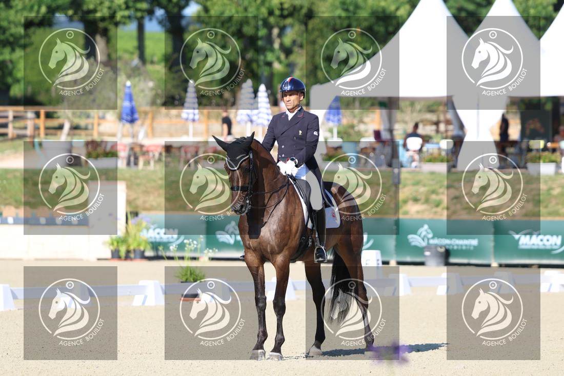 Aperçu Alexandre AYACHE · RULING OLIVIA
