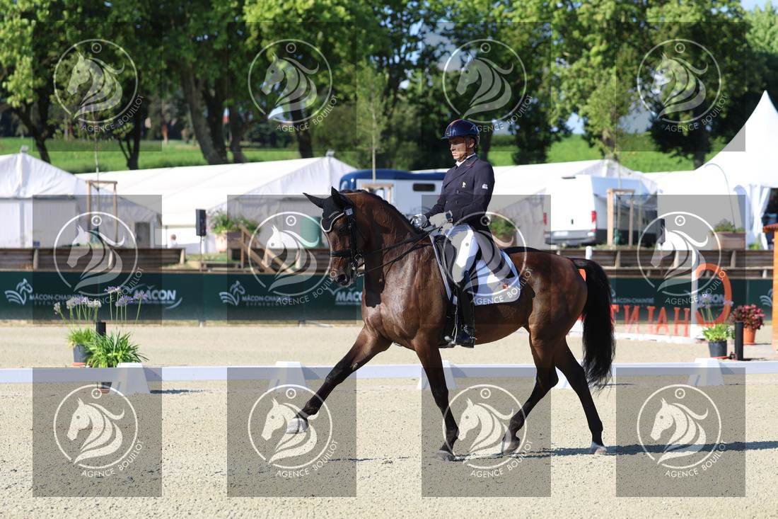 Aperçu Alexandre AYACHE · RULING OLIVIA