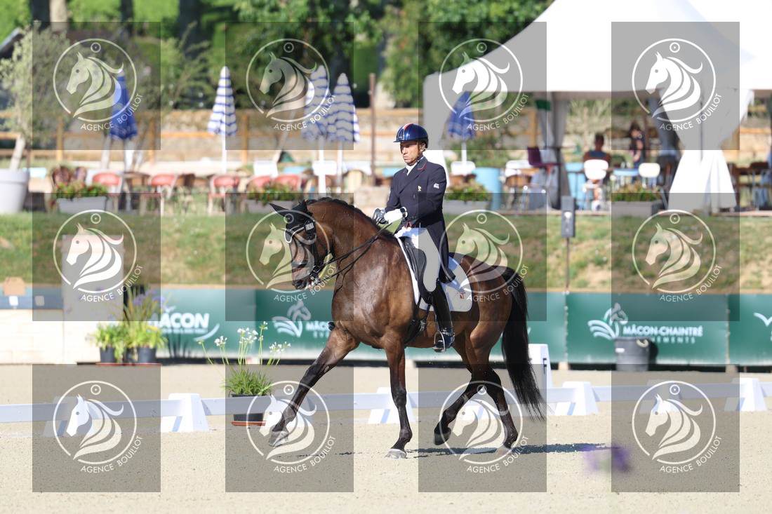 Aperçu Alexandre AYACHE · RULING OLIVIA