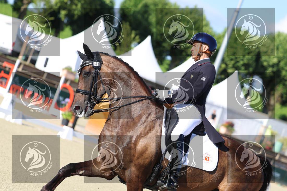Aperçu Alexandre AYACHE · RULING OLIVIA