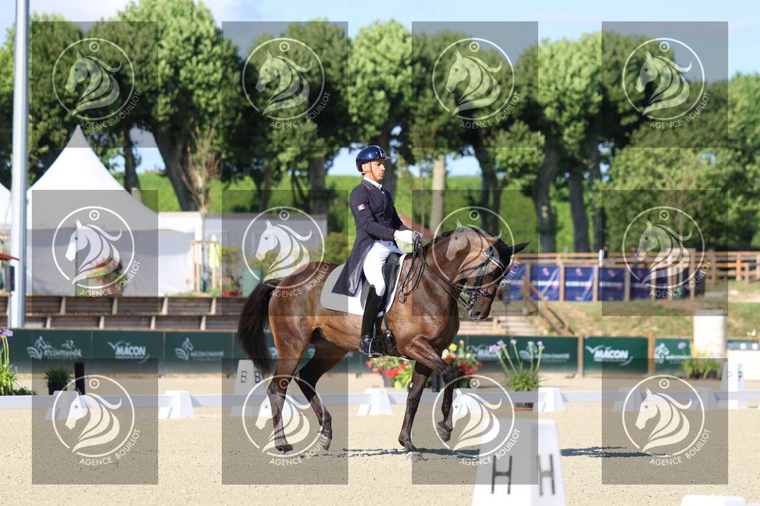 Aperçu Alexandre AYACHE · RULING OLIVIA