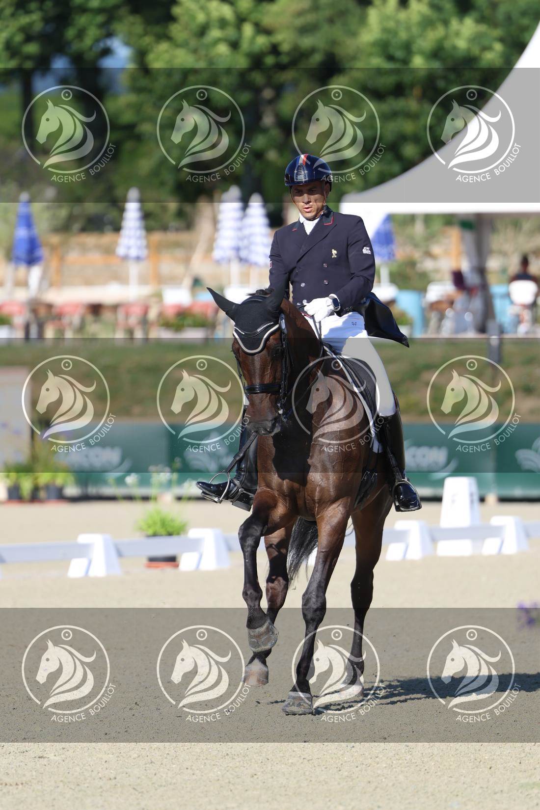 Aperçu Alexandre AYACHE · RULING OLIVIA