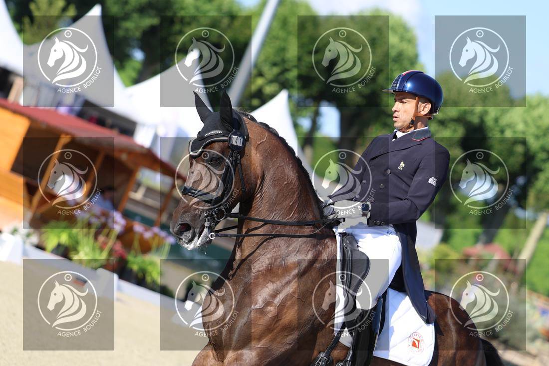 Aperçu Alexandre AYACHE · RULING OLIVIA